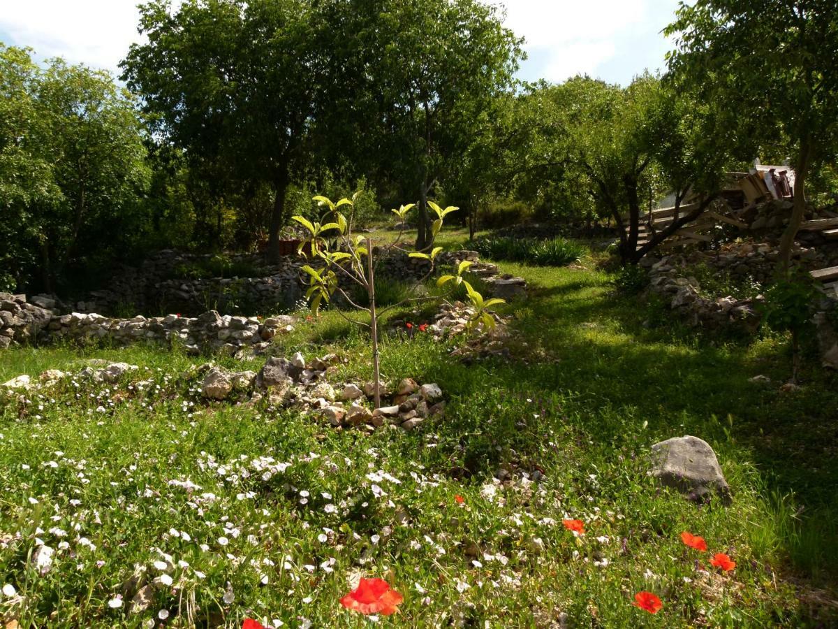 Apartments Lavanda & Divona Sibenik Luaran gambar